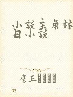 小说主角林川末日小说