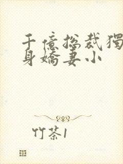 千亿总裁独宠替身娇妻小