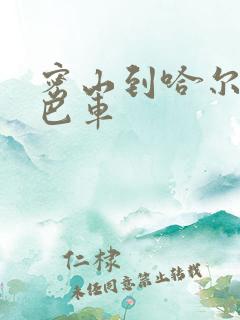 密山到哈尔滨大巴车