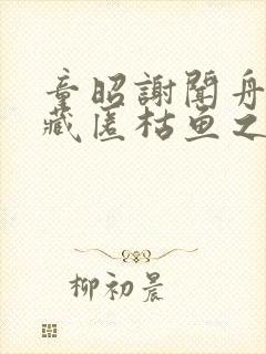 童昭谢闻舟往事藏匿枯鱼之肆全本阅读