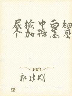 尿检中白细胞一个加号怎么回事