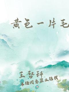 黄色一片毛