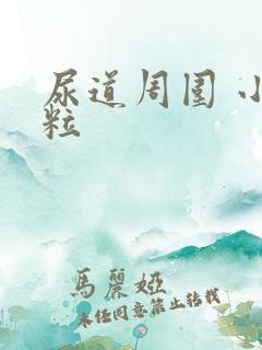 尿道周围 小肉粒