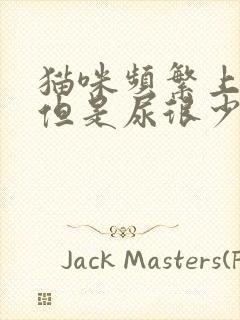 猫咪频繁上猫厕但是尿很少