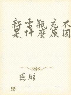 新电瓶充不进电是什么原因