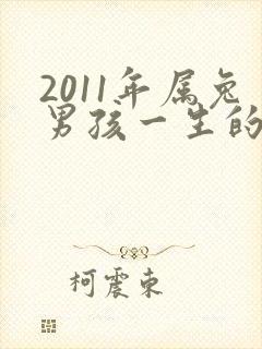 2011年属兔男孩一生的命运