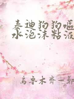 泰迪狗狗呕吐黄水泡沫粘液