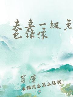 夫妻一级免费黄色录像