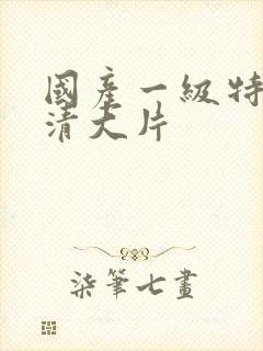 国产一级特黄高清大片