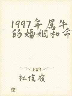 1997年属牛的婚姻和命运男