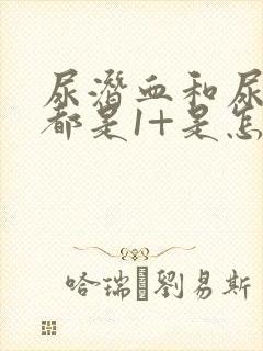 尿潜血和尿蛋白都是1+是怎么回事