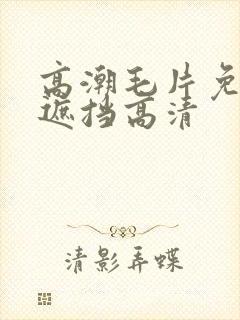 高潮毛片免费无遮挡高清