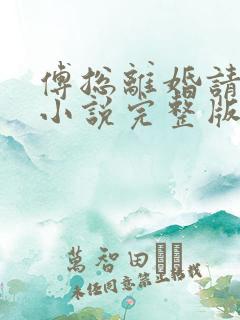 傅总离婚请签字小说完整版本