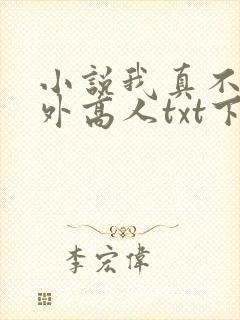 小说我真不是世外高人txt下载