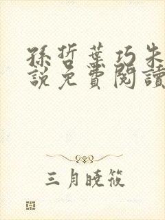 孙哲叶巧朱颜小说免费阅读