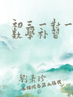 初三一对一文科数学补习