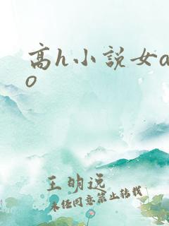高h小说女a男o