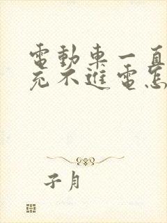 电动车一直没骑充不进电怎么办