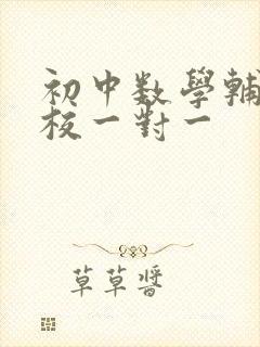 初中数学辅导学校一对一