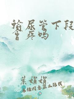 输尿管下段结石会疼吗