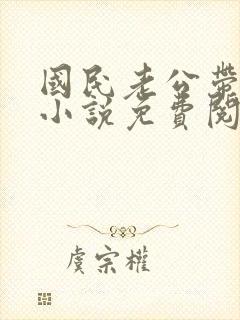 国民老公带回家小说免费阅读无弹窗