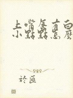 上嘴唇有白色的小点点怎么回事