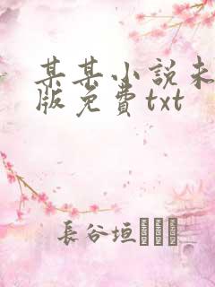 某某小说未删减版免费txt
