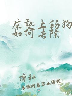 床垫上的狗尿味如何去除