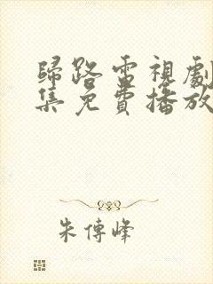 归路电视剧30集免费播放