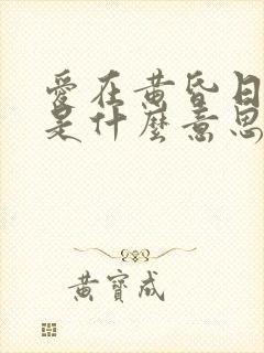 爱在黄昏日落时是什么意思