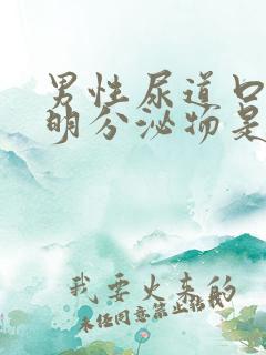 男性尿道口有透明分泌物是什么问题