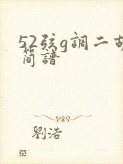 52弦g调二胡简谱