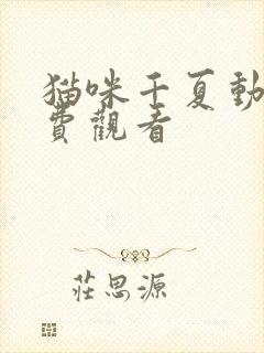 猫咪千夏动漫免费观看