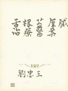 舌根苔厚腻中医治疗医案