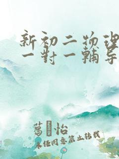 新初二物理考前一对一辅导