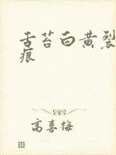 舌苔白黄裂纹齿痕