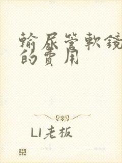 输尿管软镜碎石的费用