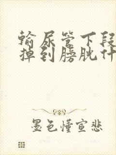 输尿管下段结石掉到膀胱什么感觉