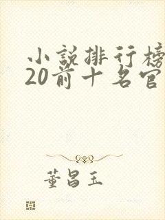 小说排行榜2020前十名官场