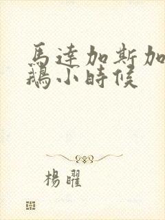 马达加斯加的企鹅小时候