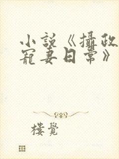 小说《摄政王的宠妻日常》