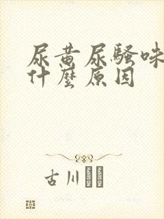 尿黄尿骚味重是什么原因