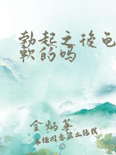 勃起之后龟头是软的吗