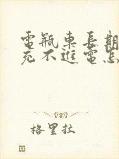 电瓶车长期不骑充不进电怎么办