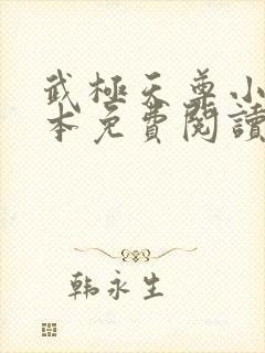 武极天尊小说全本免费阅读