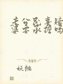 老公民事赔偿老婆要承担吗