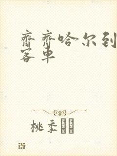 齐齐哈尔到黑河客车