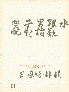 双子男跟水瓶女配对指数