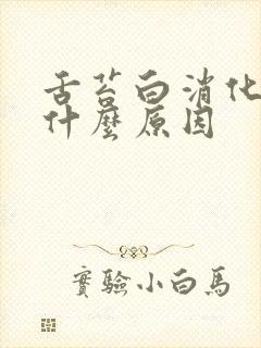 舌苔白消化不好什么原因