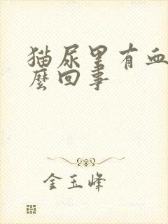 猫尿里有血是怎么回事